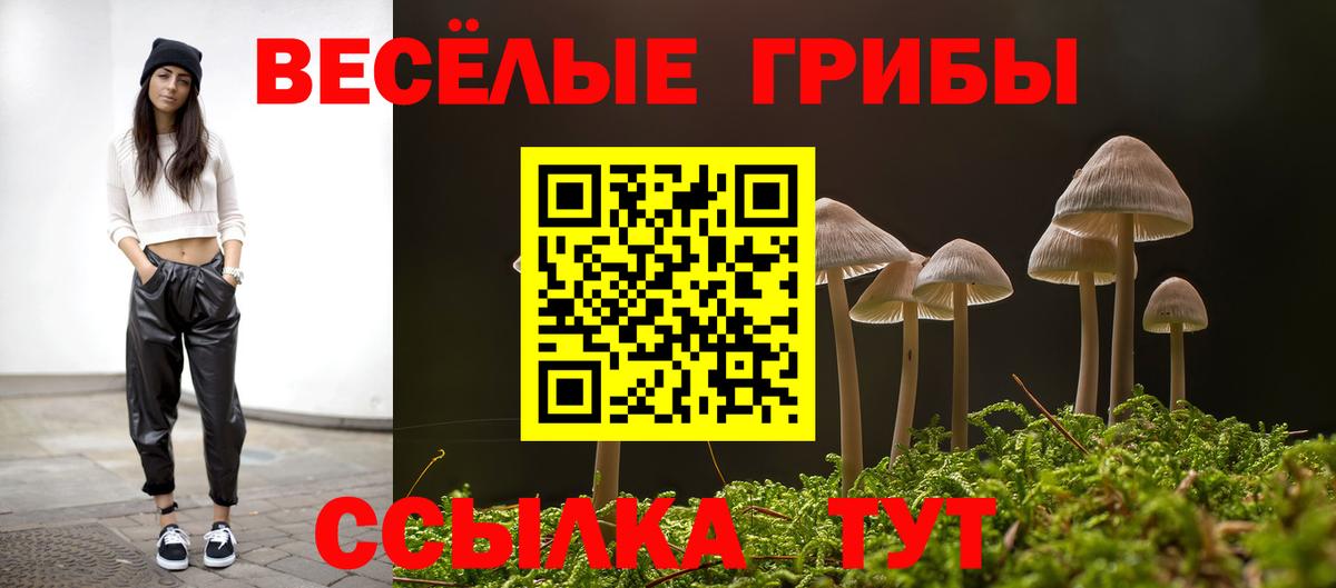 Псилоцибиновые грибы Cubensis  Вход с VPN  Красный Сулин 